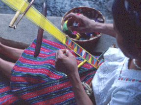 weaverD.jpg (30175 bytes)